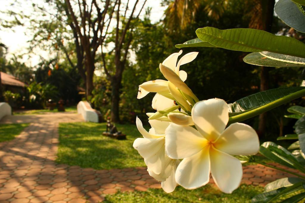 Hotel Secret Garden Chiangmai San Kamphaeng Exteriér fotografie